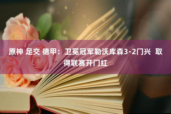 原神 足交 德甲：卫冕冠军勒沃库森3-2门兴  取得联赛开门红