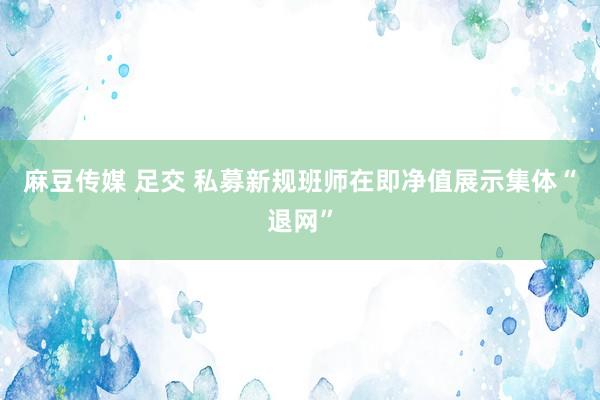 麻豆传媒 足交 私募新规班师在即净值展示集体“退网”