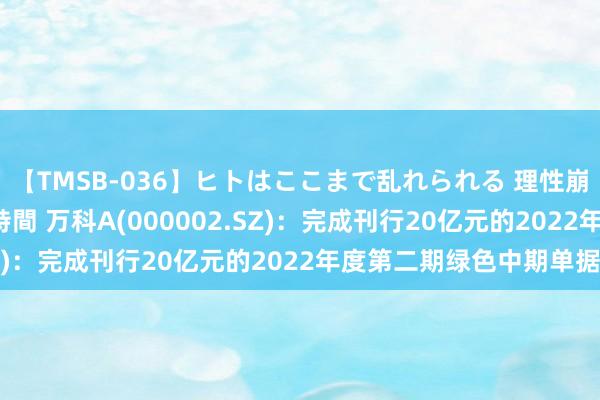 【TMSB-036】ヒトはここまで乱れられる 理性崩壊と豪快絶頂の記録4時間 万科A(000002.SZ)：完成刊行20亿元的2022年度第二期绿色中期单据