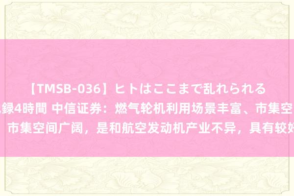 【TMSB-036】ヒトはここまで乱れられる 理性崩壊と豪快絶頂の記録4時間 中信证券：燃气轮机利用场景丰富、市集空间广阔，是和航空发动机产业不异，具有较好投资机会的赛说念