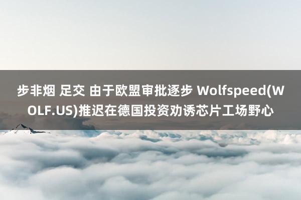 步非烟 足交 由于欧盟审批逐步 Wolfspeed(WOLF.US)推迟在德国投资劝诱芯片工场野心